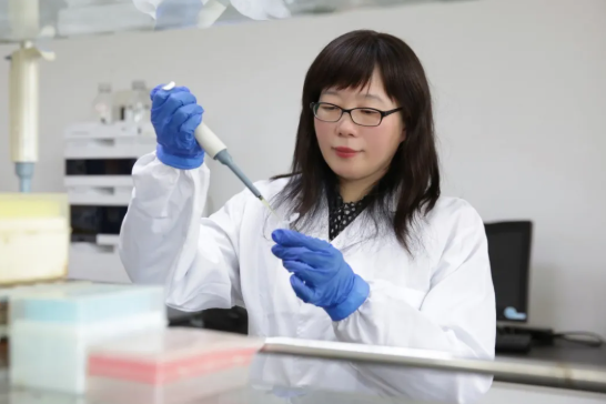 1763519461526017ZR0T.png 图1.png